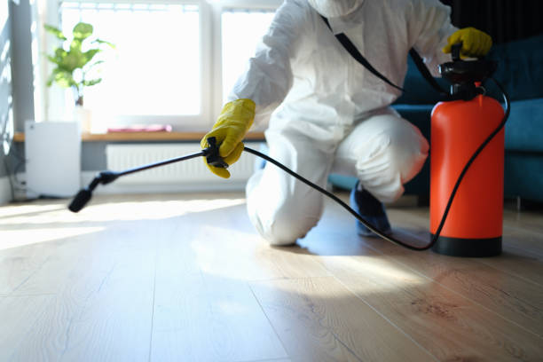 Reliable Hoarding Cleanup contractor in Fredericksburg, VA by Dulley Family Biohazard Services